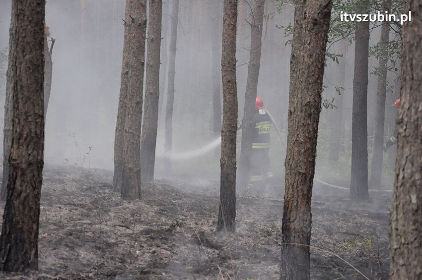 Pracowita niedziela dla strażaków