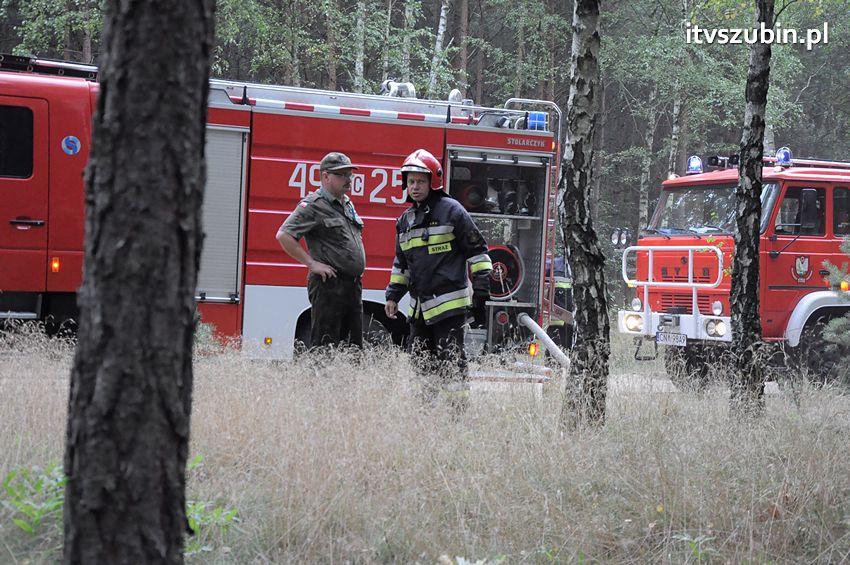 Pracowita niedziela dla strażaków