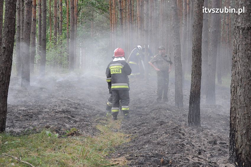 Pracowita niedziela dla strażaków