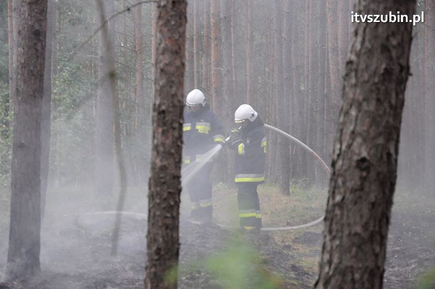Pracowita niedziela dla strażaków