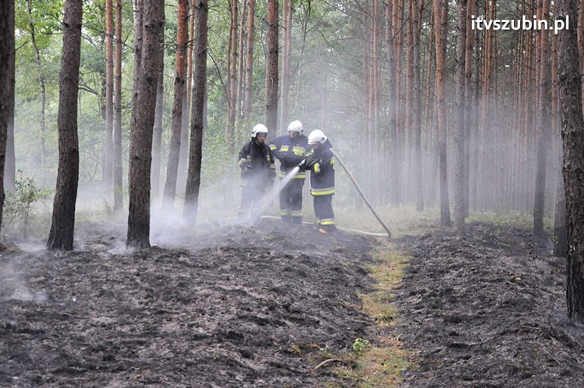 Pracowita niedziela dla strażaków