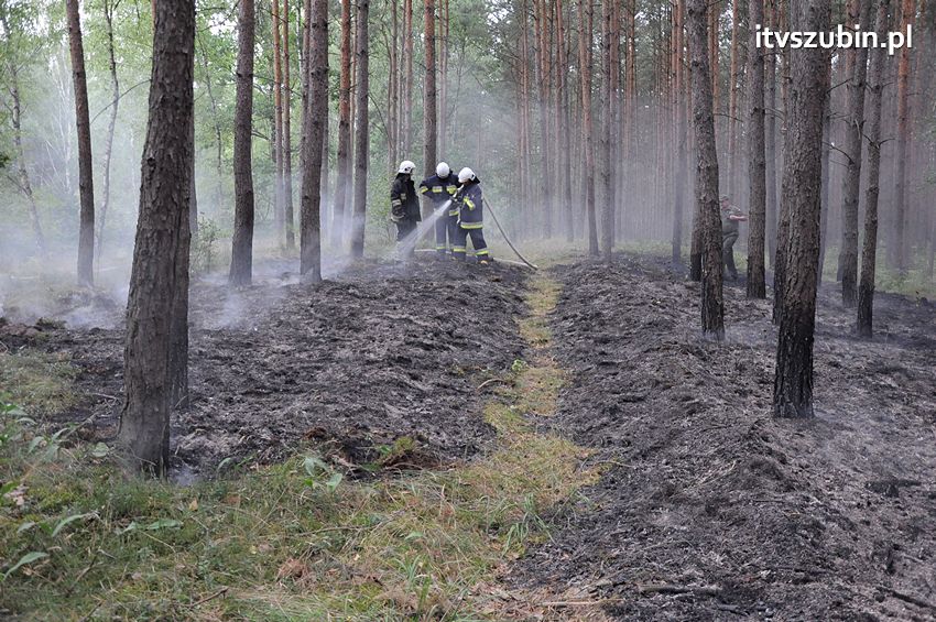 Pracowita niedziela dla strażaków