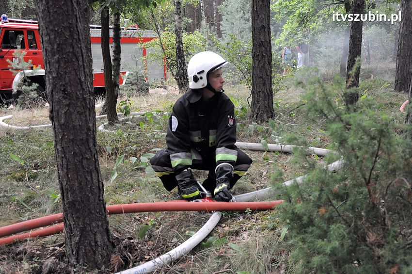 Pracowita niedziela dla strażaków