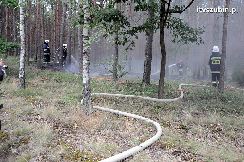 Pracowita niedziela dla strażaków