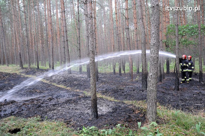 Pracowita niedziela dla strażaków