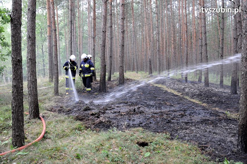 Pracowita niedziela dla strażaków