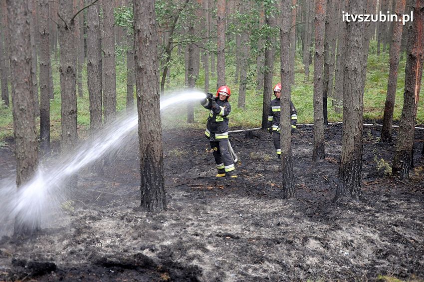 Pracowita niedziela dla strażaków