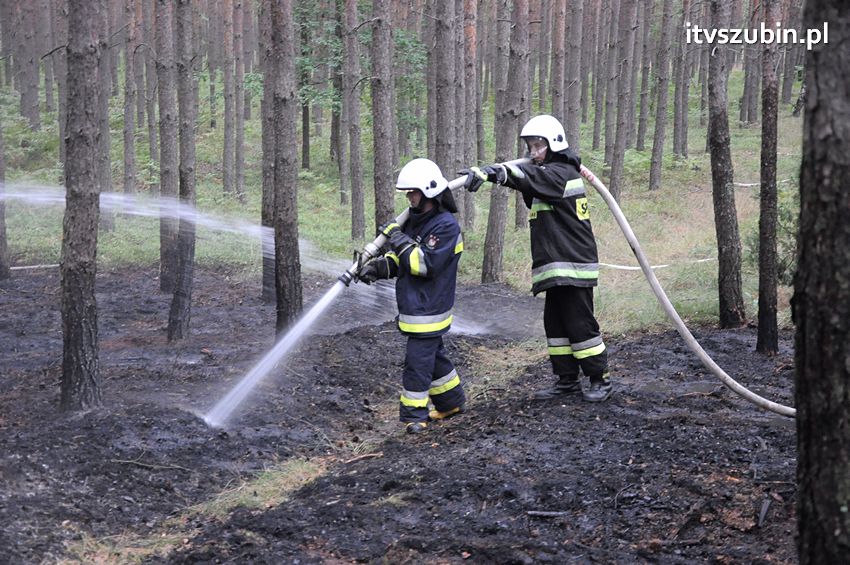 Pracowita niedziela dla strażaków