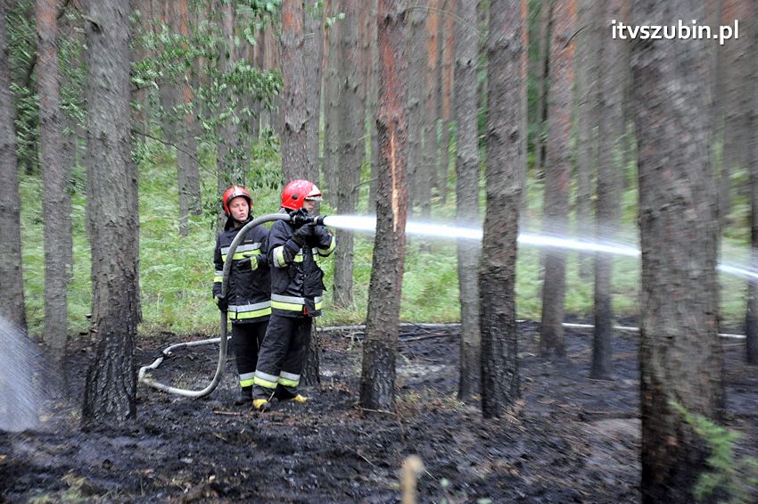 Pracowita niedziela dla strażaków