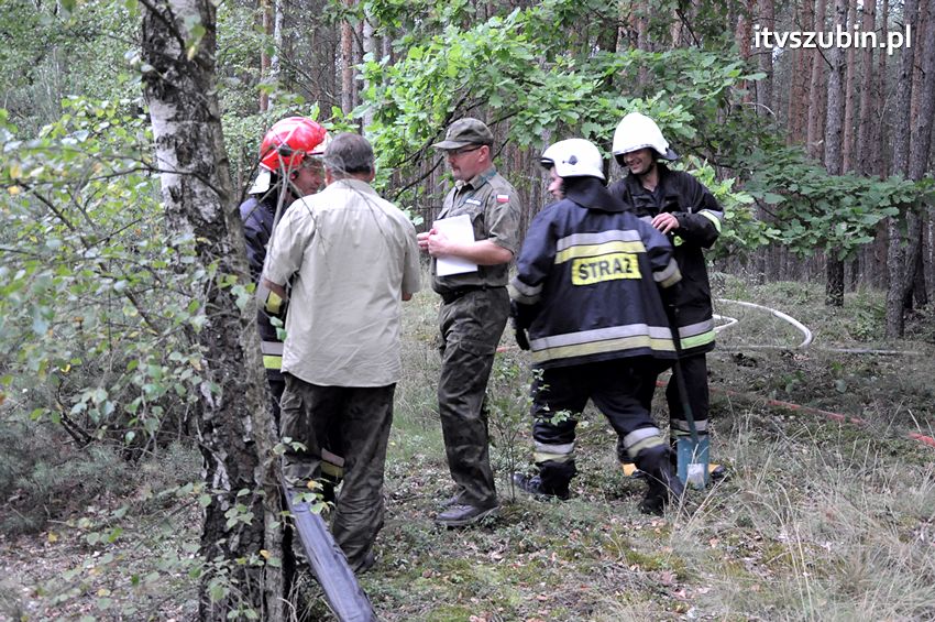 Pracowita niedziela dla strażaków