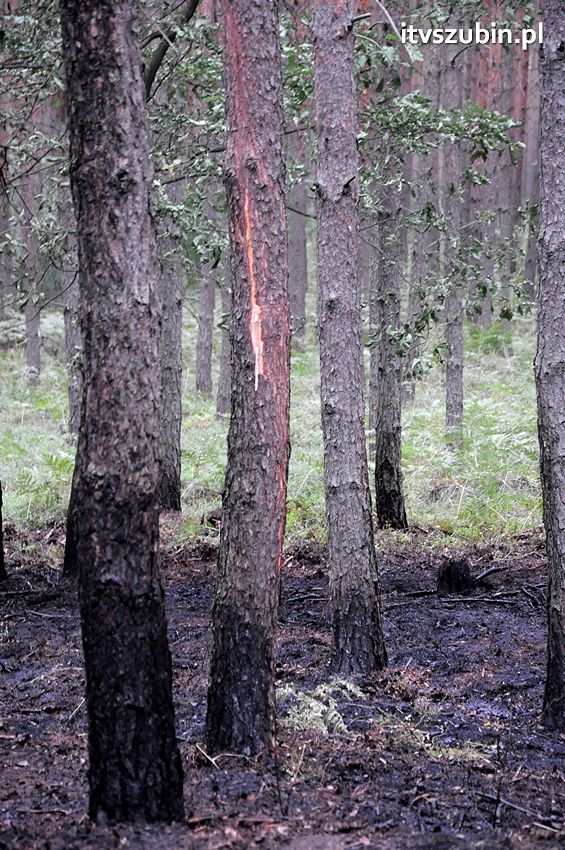Pracowita niedziela dla strażaków