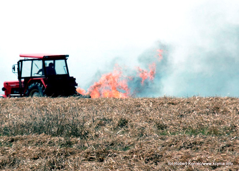 Dwa niedzielne pożary w gminie Kcynia
