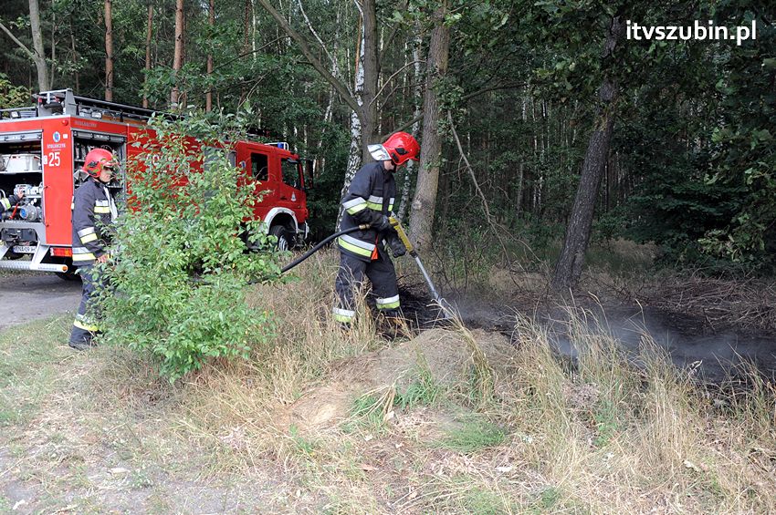 Informacje o działaniach straży pożarnej na terenie powiatu nakielskiego w okresie 28.07.2014 ?03.08.2014