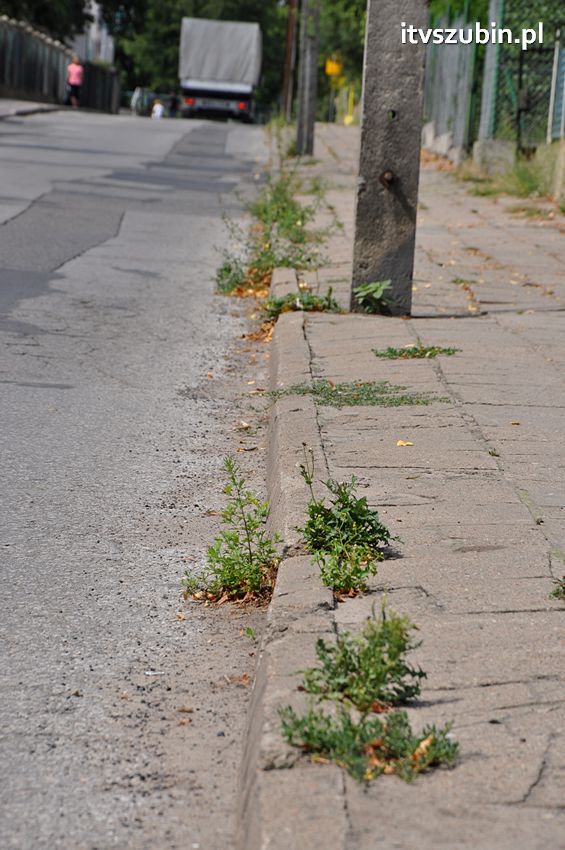 Rok w rok składane były wnioski do budżetu o remont ulic, do 15 października zostanie częściowo wykonany