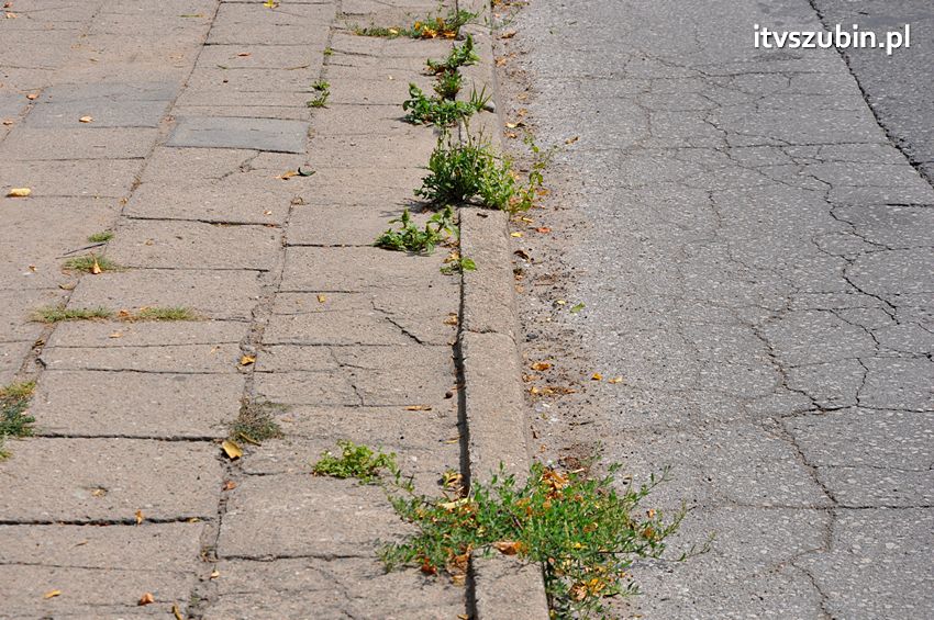 Rok w rok składane były wnioski do budżetu o remont ulic, do 15 października zostanie częściowo wykonany