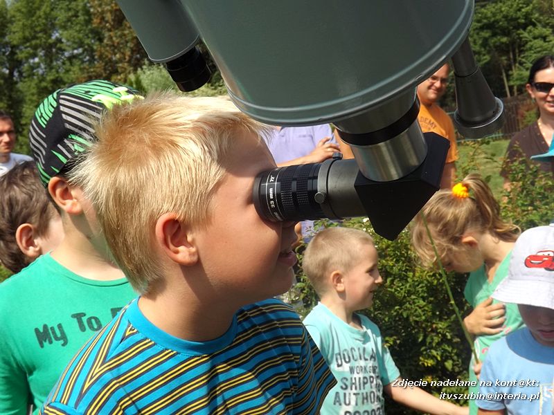 Zuchy w Niedźwiadach