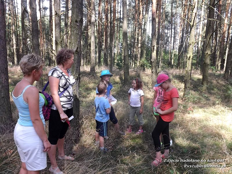 Zuchy w Niedźwiadach