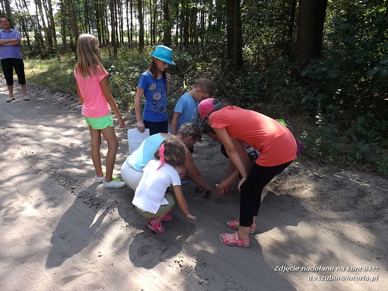 Zuchy w Niedźwiadach