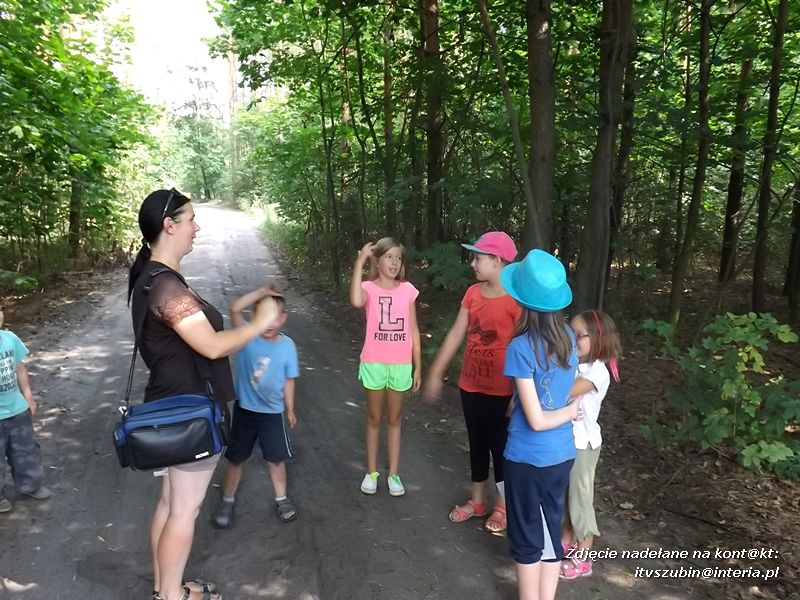 Zuchy w Niedźwiadach