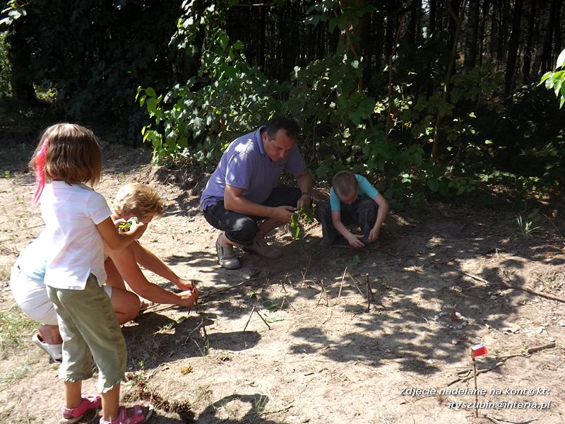 Zuchy w Niedźwiadach