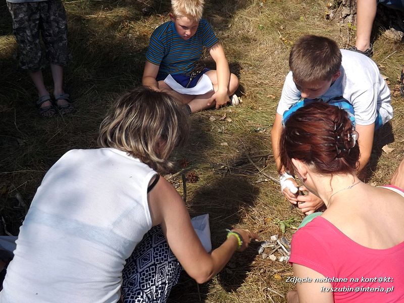 Zuchy w Niedźwiadach