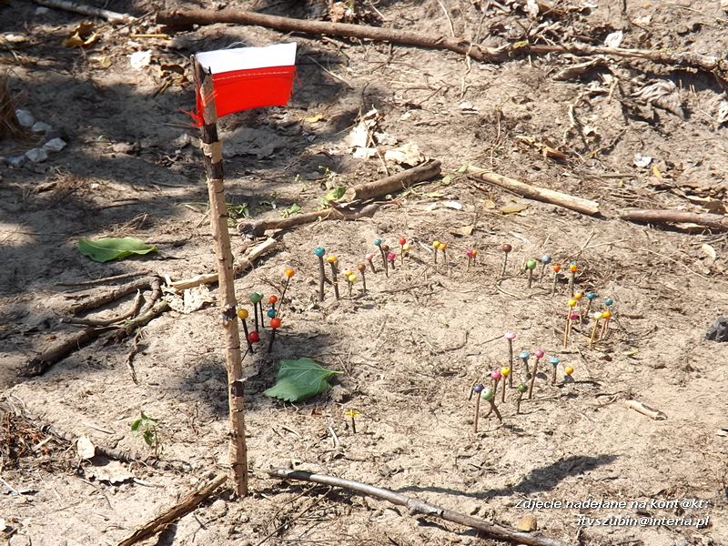 Zuchy w Niedźwiadach