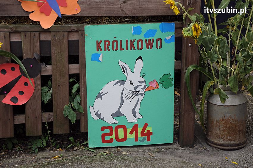 Dożynki Sołeckie w Królikowie