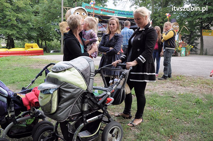 Dożynki Sołeckie w Królikowie