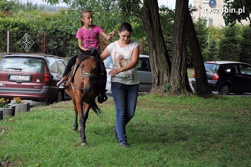 Dożynki Sołeckie w Królikowie