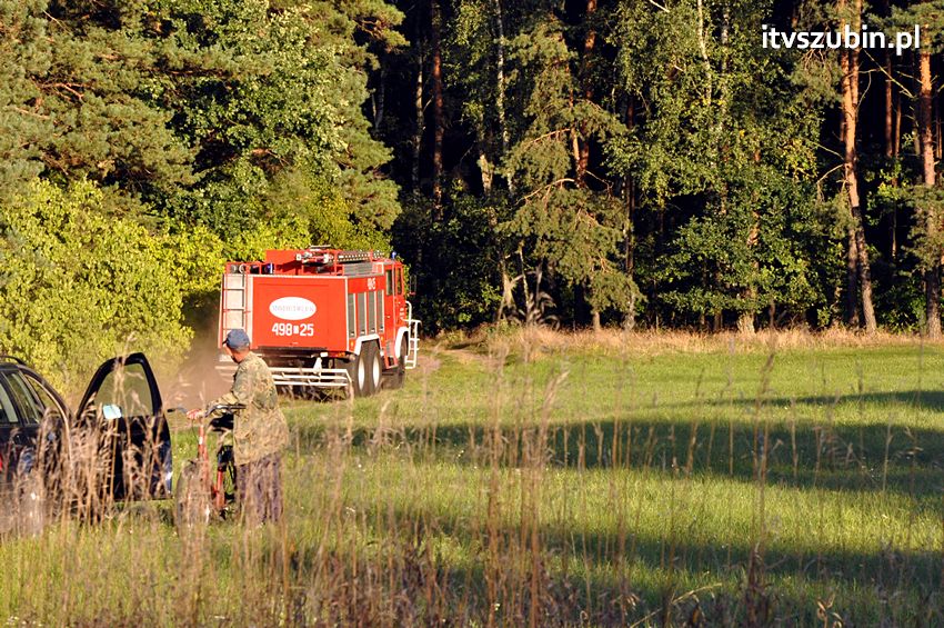 Pożar poszycia leśnego w okolicach Turu [FILM]