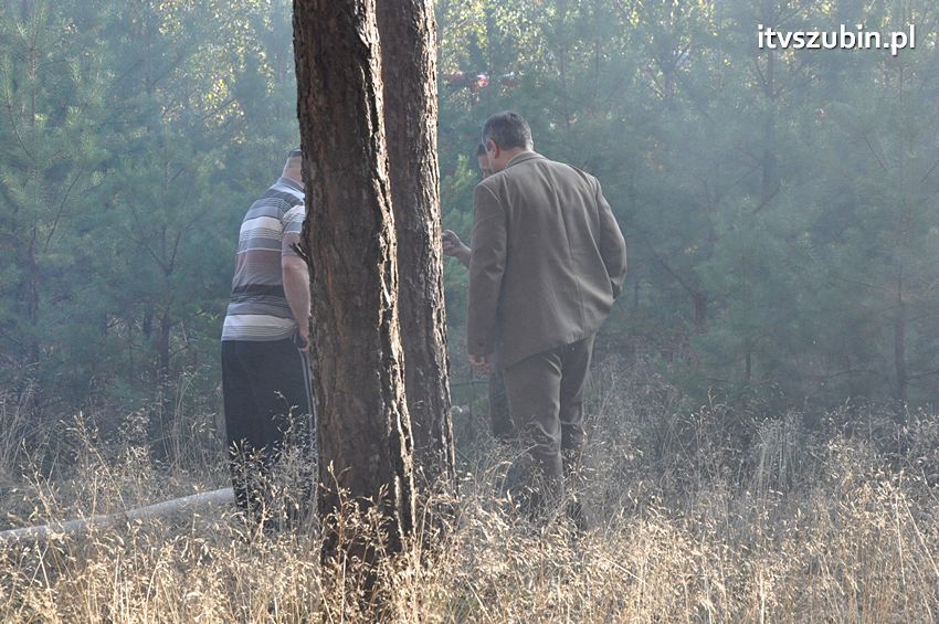 Pożar poszycia leśnego w okolicach Turu [FILM]