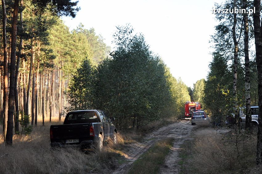 Pożar poszycia leśnego w okolicach Turu [FILM]