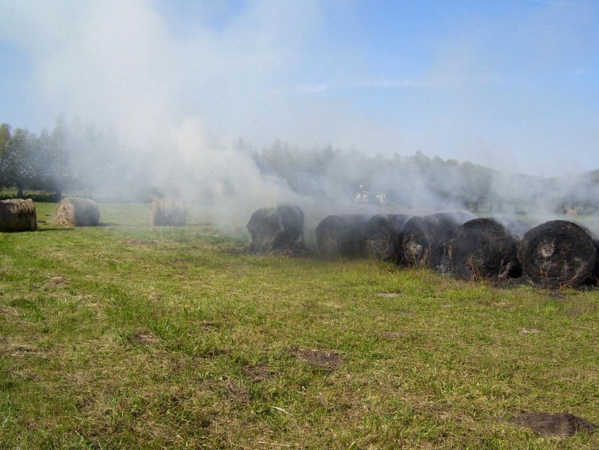 Spaleniu uległo 10 balotów [FILM]