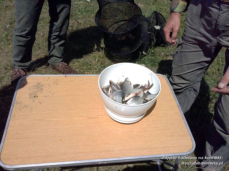 Zawody koła PZW 128 Szubin w Antoniewie