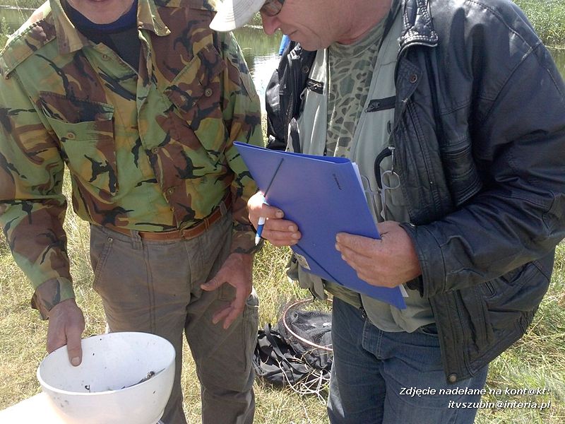 Zawody koła PZW 128 Szubin w Antoniewie