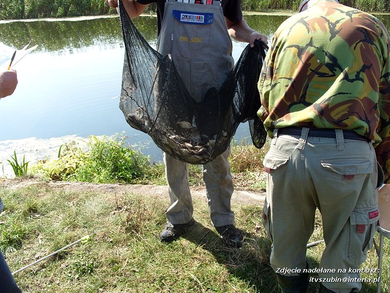 Zawody koła PZW 128 Szubin w Antoniewie