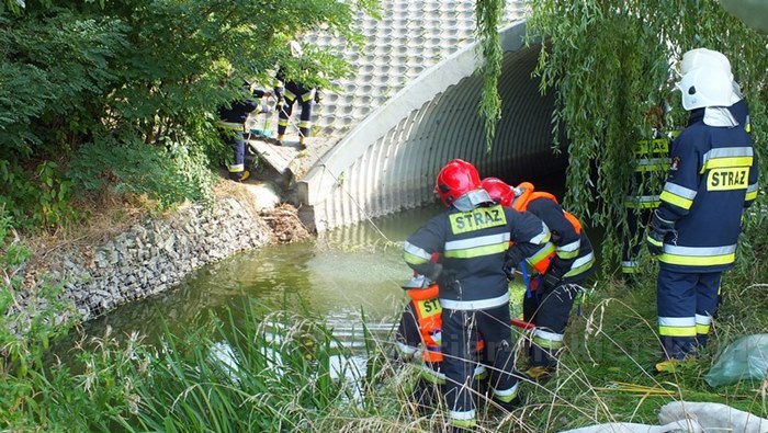 Ćwiczenia zgrywające pk. ROKITKA 2014 zakończone