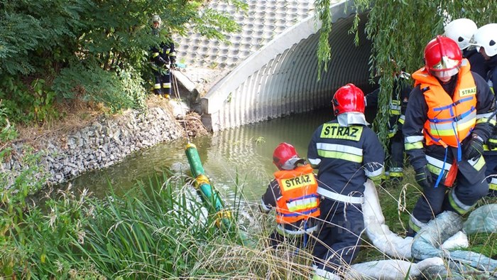 Ćwiczenia zgrywające pk. ROKITKA 2014 zakończone