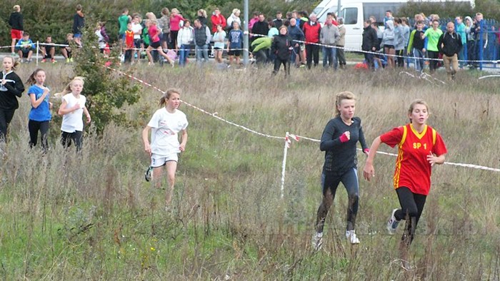 Mistrzostwa Powiatu w Biegach Przełajowych