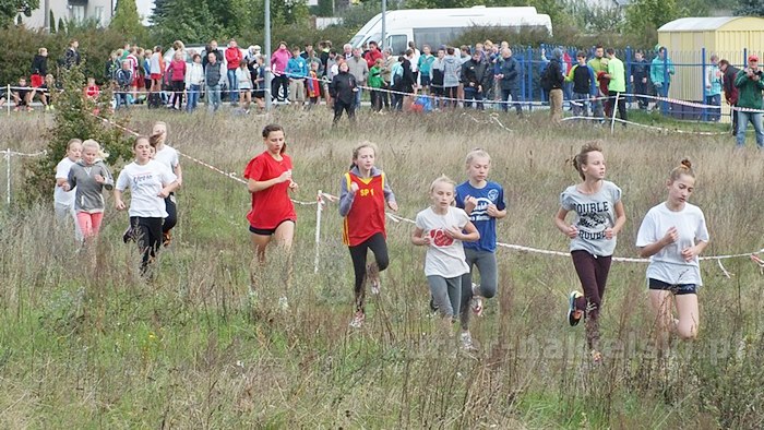 Mistrzostwa Powiatu w Biegach Przełajowych