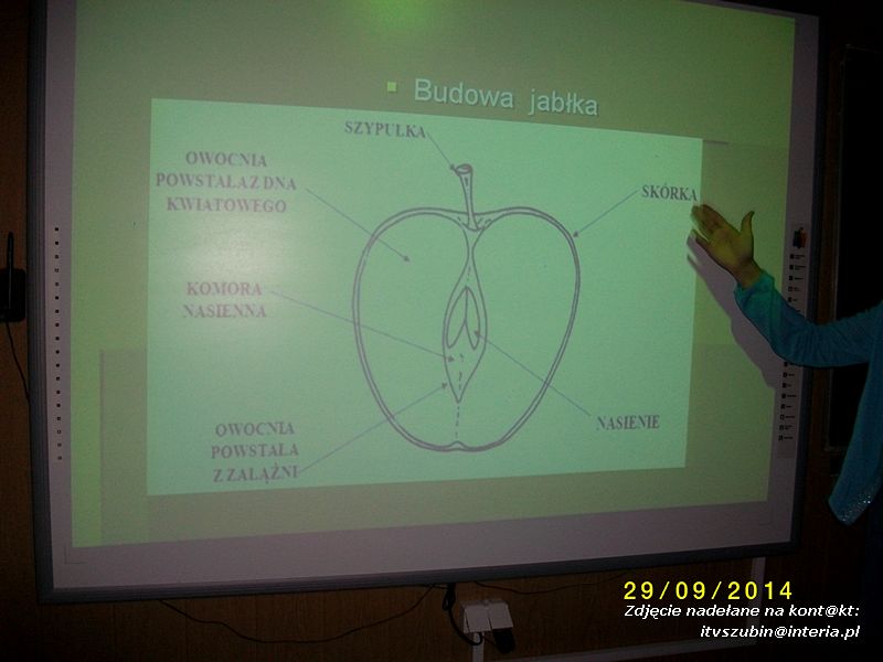 Dzień Jabłka w Kowalewie