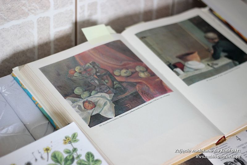 Dzień Jabłka w Kowalewie