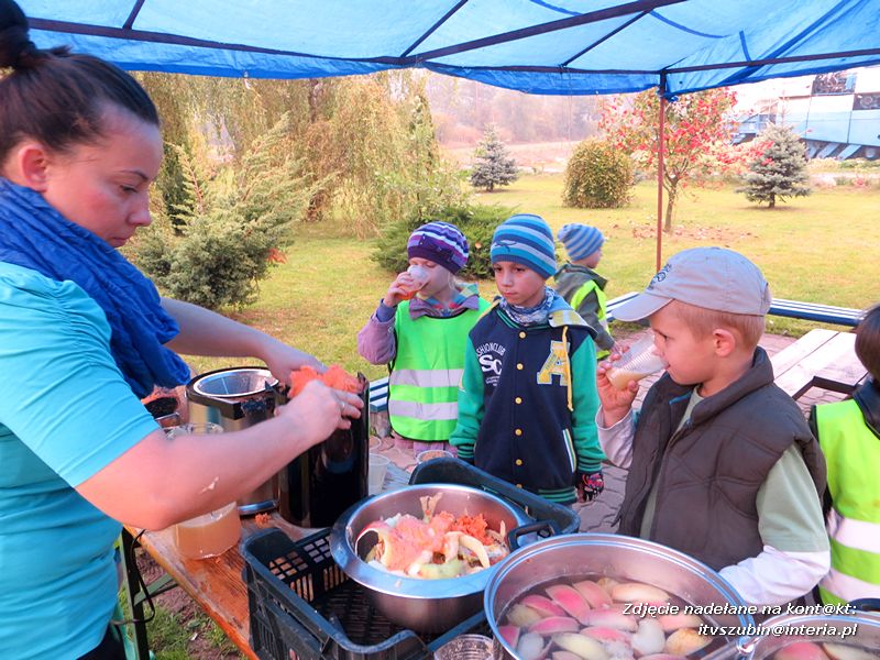 ?Żabki? i ?Zuchy? z szubińskiego Słoneczka na wycieczce w sadzie
