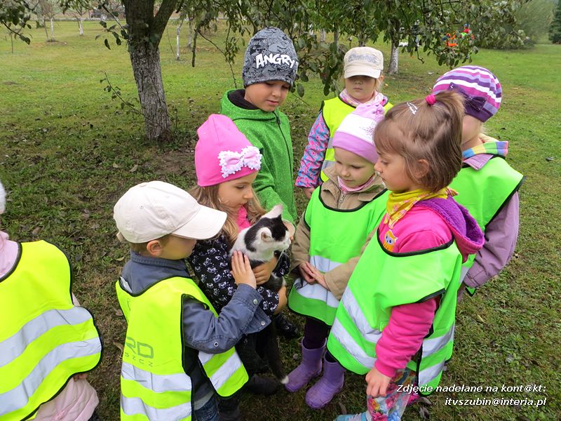 ?Żabki? i ?Zuchy? z szubińskiego Słoneczka na wycieczce w sadzie