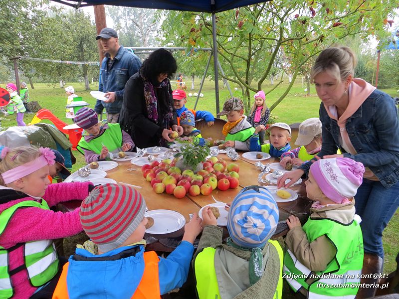 ?Żabki? i ?Zuchy? z szubińskiego Słoneczka na wycieczce w sadzie