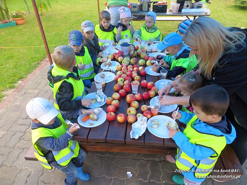 ?Żabki? i ?Zuchy? z szubińskiego Słoneczka na wycieczce w sadzie