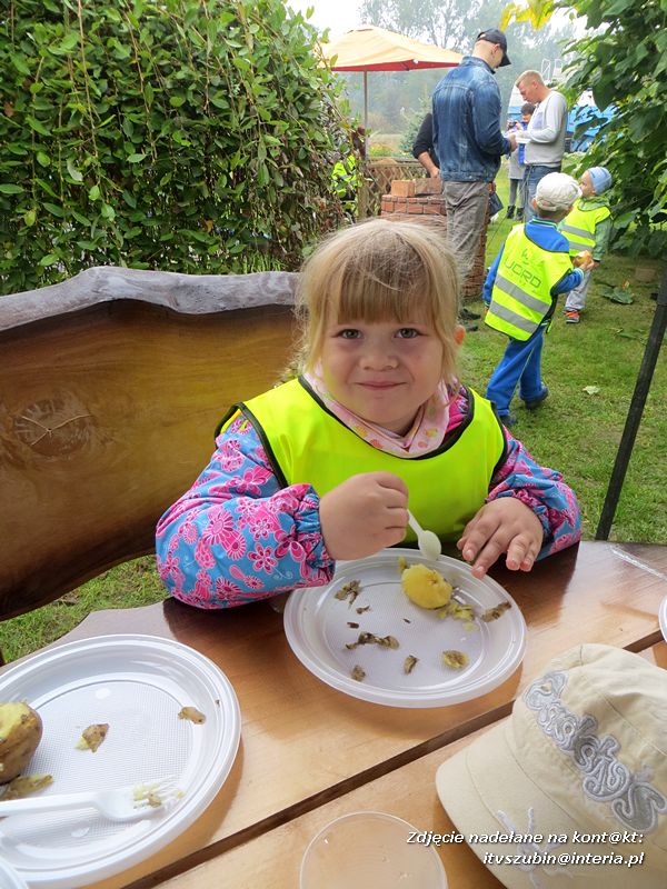 ?Żabki? i ?Zuchy? z szubińskiego Słoneczka na wycieczce w sadzie
