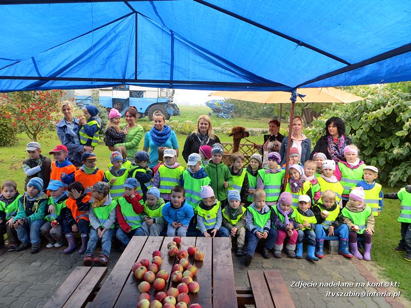 ?Żabki? i ?Zuchy? z szubińskiego Słoneczka na wycieczce w sadzie