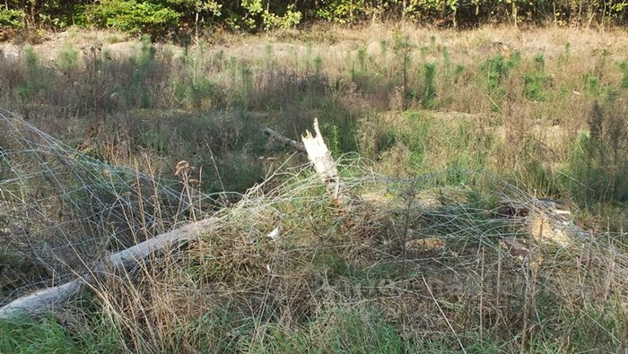 Wypadek pod Gorzeniem