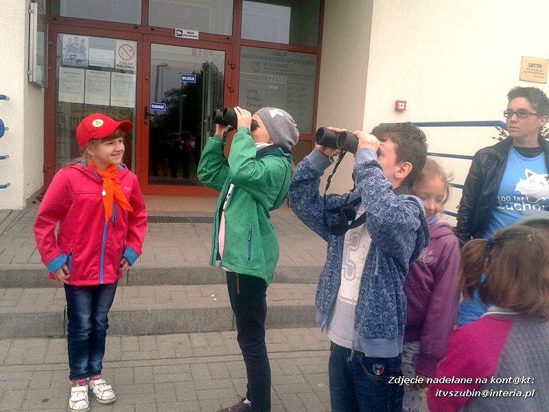 Czy ktoś widział Dziub Dziuba?